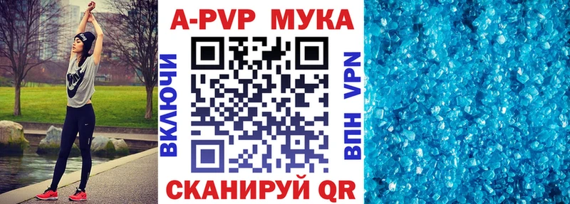 сколько стоит  Онега  А ПВП крисы CK 