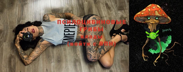 прущий лед Бородино